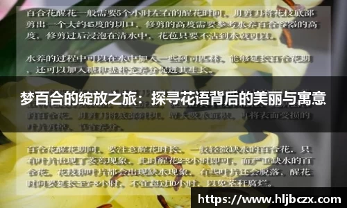 梦百合的绽放之旅：探寻花语背后的美丽与寓意