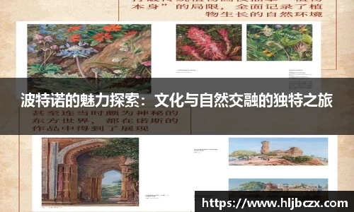 波特诺的魅力探索：文化与自然交融的独特之旅